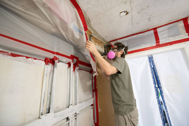Mold Remediation for Rental Properties in State Center, IA