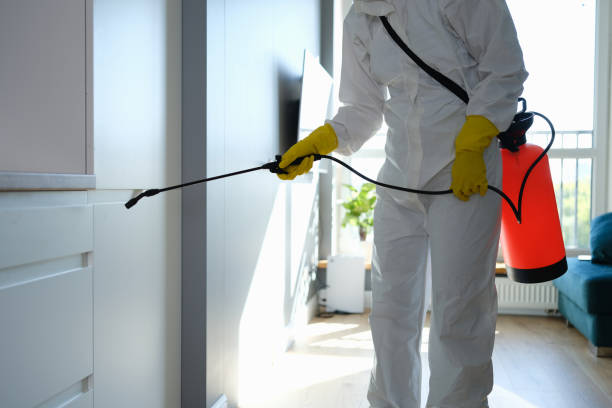 Best Mold Odor Removal Services  in State Center, IA
