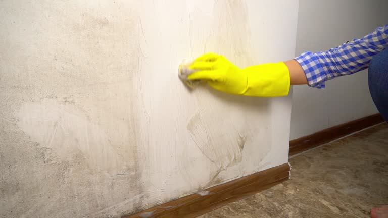 Best Real Estate Mold Inspection  in State Center, IA