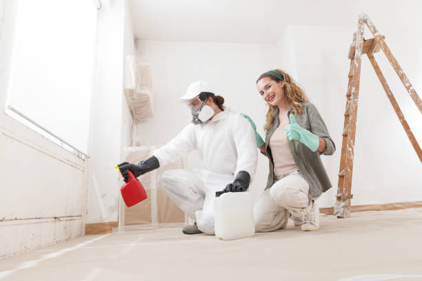 Best HVAC Mold Inspection and Cleaning  in State Center, IA