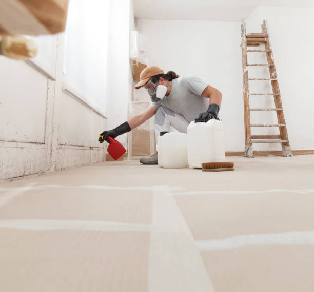 Best Forensic Mold Investigation  in State Center, IA