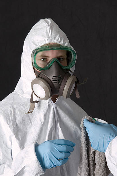  State Center, IA Mold Removal Pros