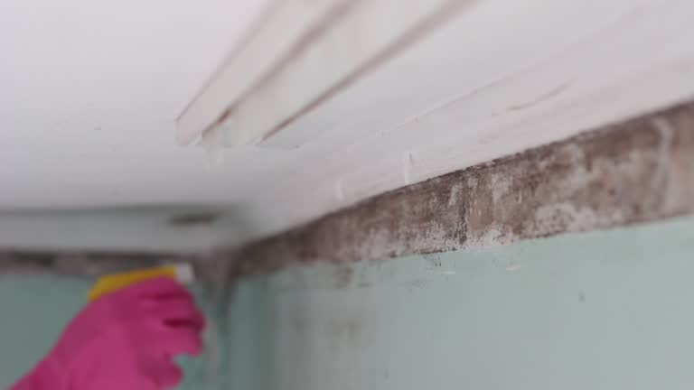 Best Air Quality Testing for Mold Spores  in State Center, IA